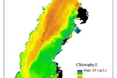 Lake Biwa Satellite-based remote sensing for water quality and vegetation monitoring